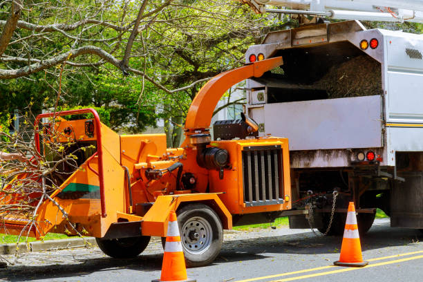 Best Utility Line Clearance  in Nags Head, NC